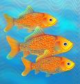 Fish Philosophy