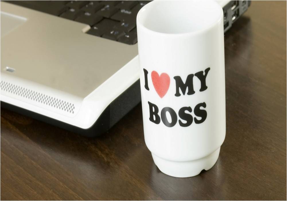 How to make your Boss Happy