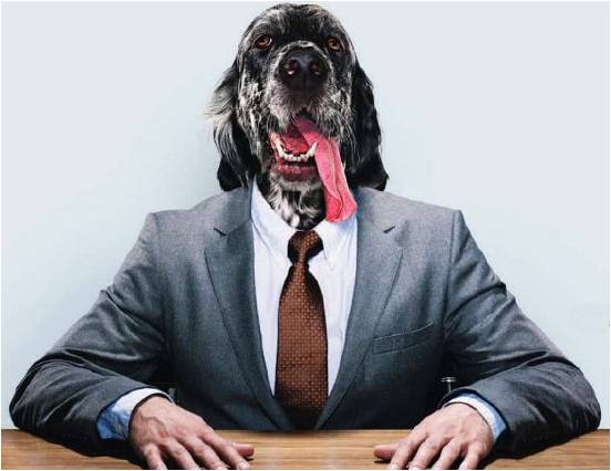 How to Train Your Boss
