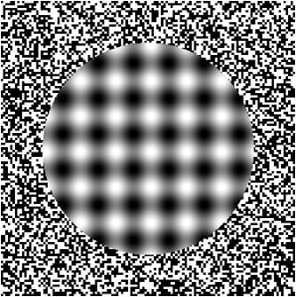 Focus -Focus