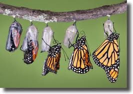 Make an Effective Change this Year-New Ways
